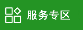 服务项目