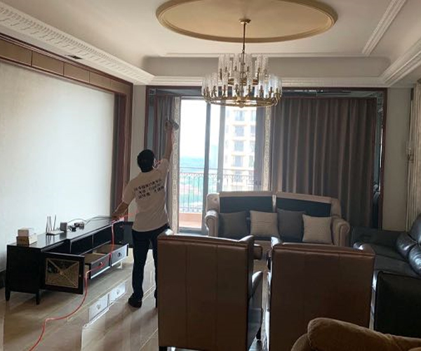 成都除甲醛公司